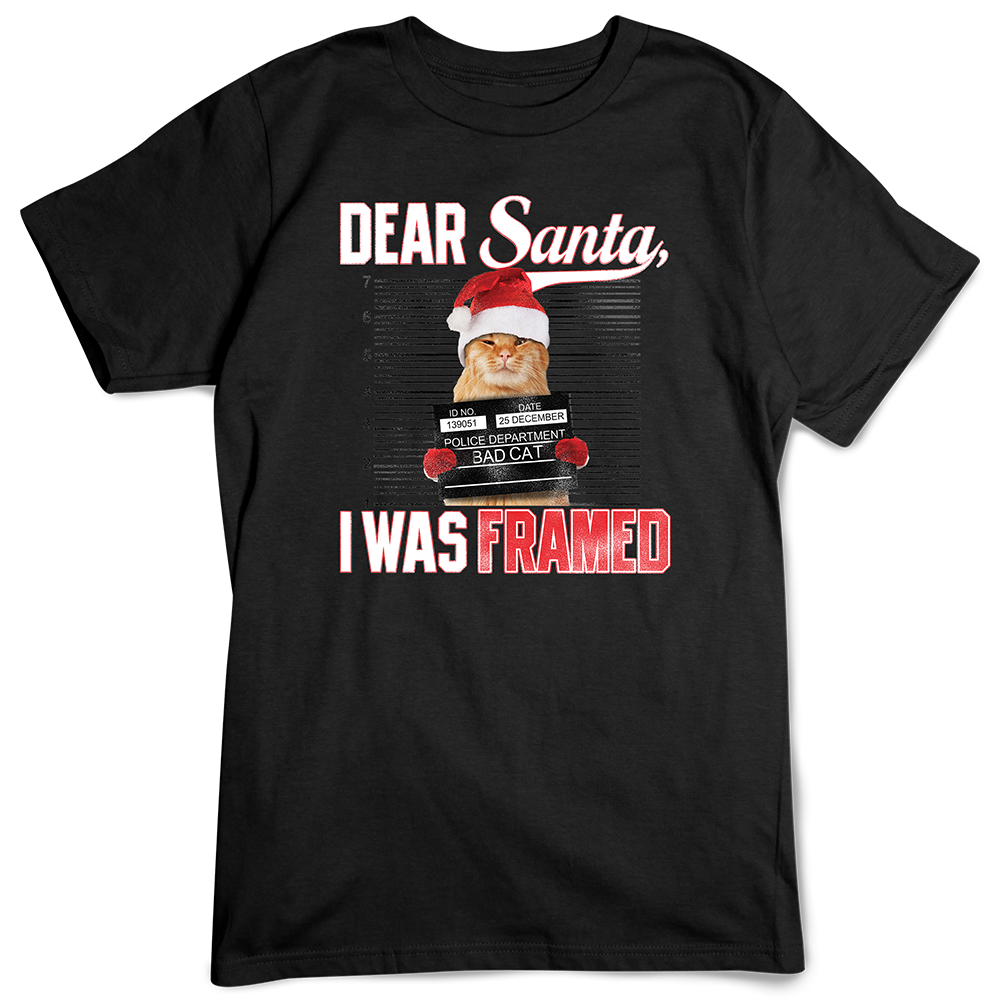 Christmas Cat T-shirt, Santa I Was Framed