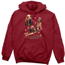 Load image into Gallery viewer, Bloodhound Hoodie, Not Just a Dog
