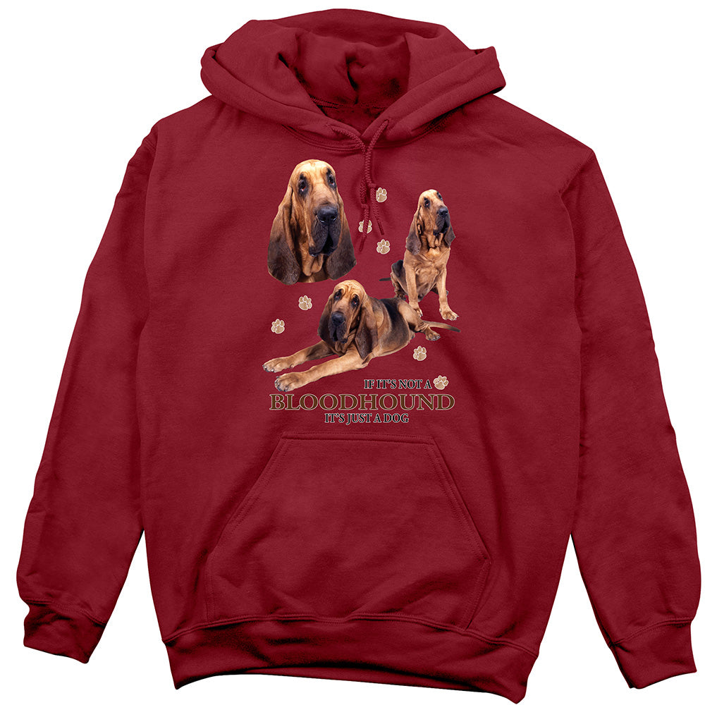 Bloodhound Hoodie, Not Just a Dog
