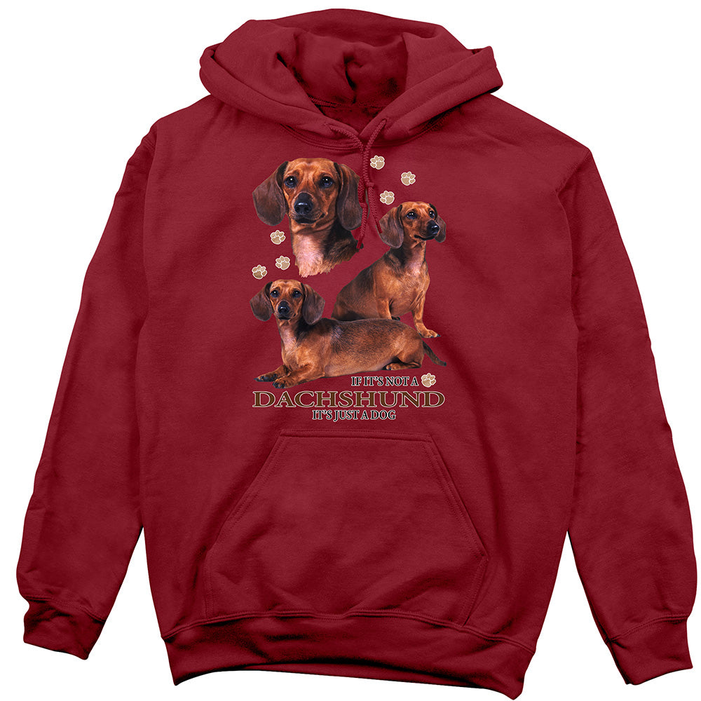 Dachshund Hoodie, Not Just a Dog