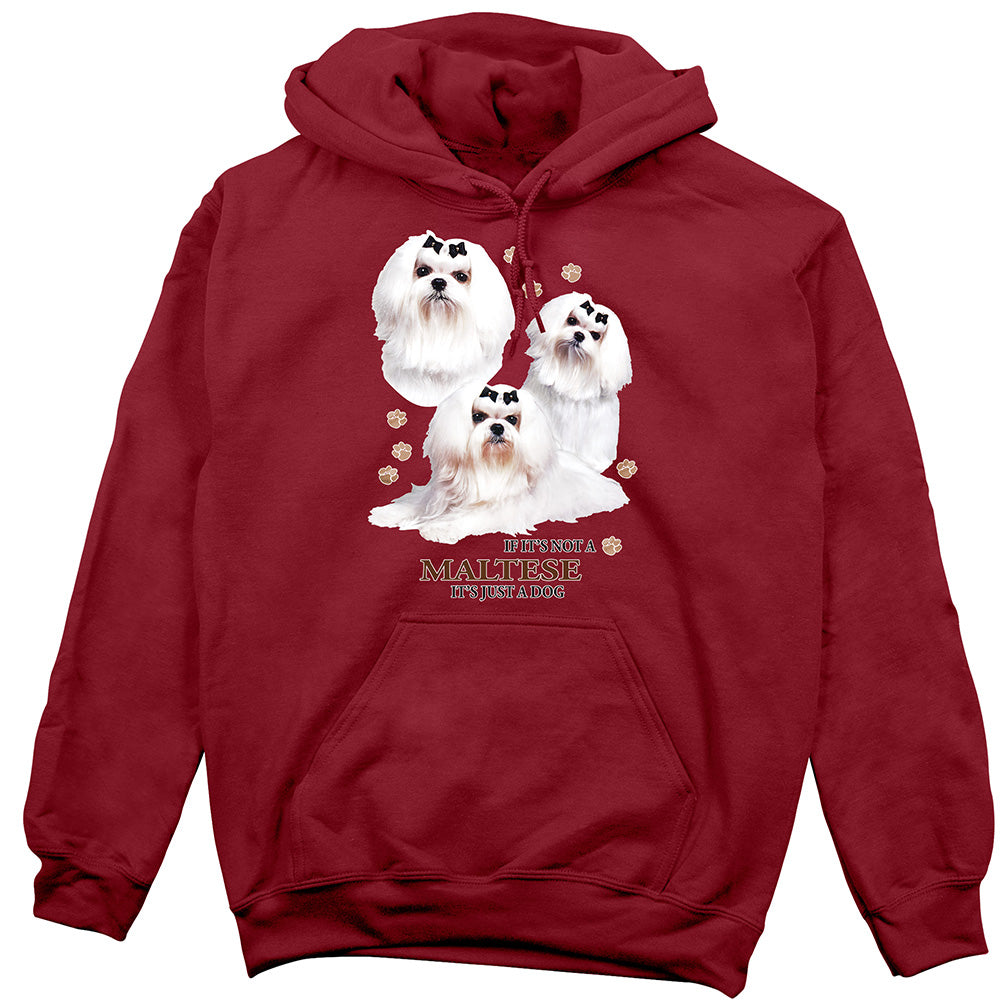 Maltese Hoodie, Not Just a Dog