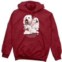 Load image into Gallery viewer, Havanese Hoodie, Not Just a Dog
