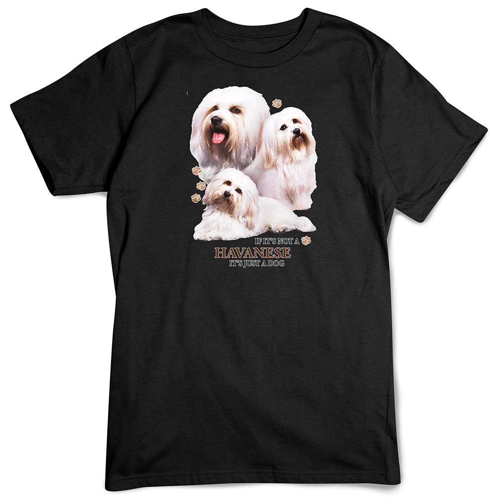 Havanese T-Shirt, Not Just a Dog