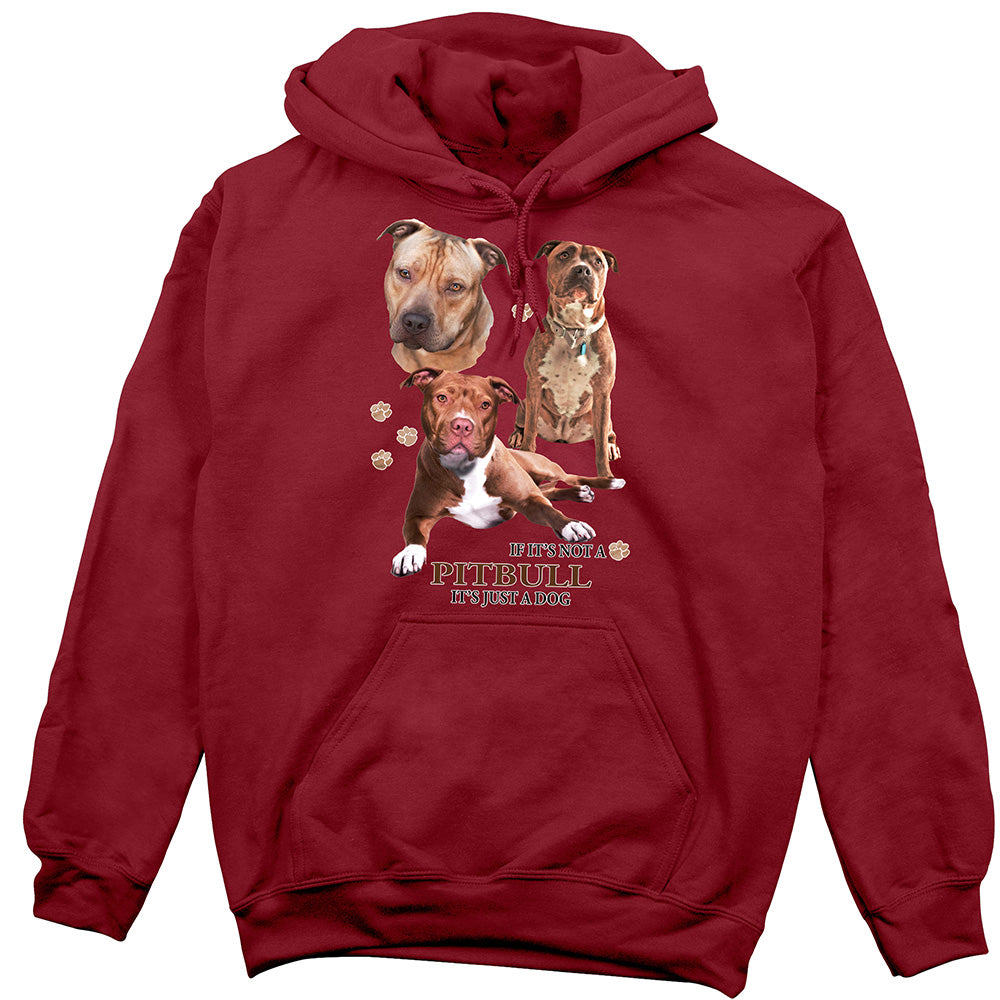 Pitbull Hoodie, Not Just a Dog