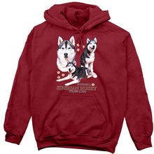 Load image into Gallery viewer, Siberian Husky Hoodie, Not Just a Dog
