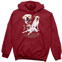 Load image into Gallery viewer, Yellow Lab Hoodie, Not Just a Dog
