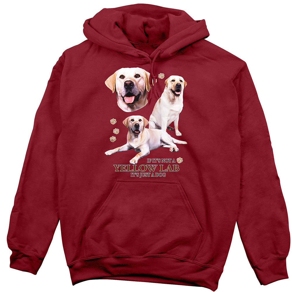 Yellow Lab Hoodie, Not Just a Dog