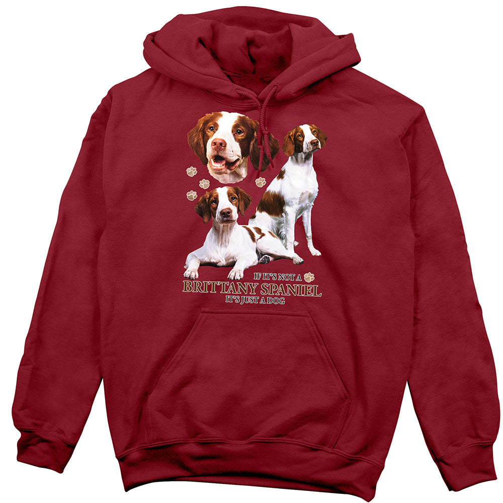 Brittany Spaniel Hoodie, Not Just a Dog