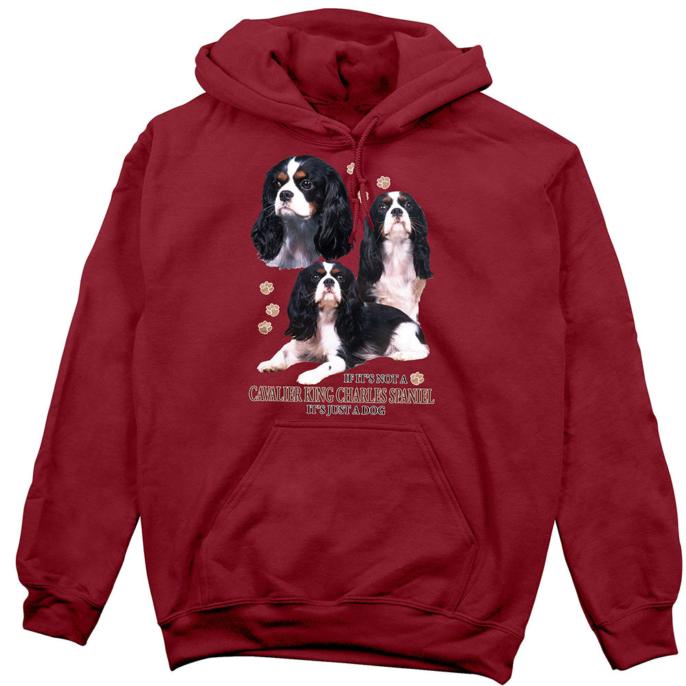 Cavalier King Charles Spaniel Hoodie, Not Just a Dog