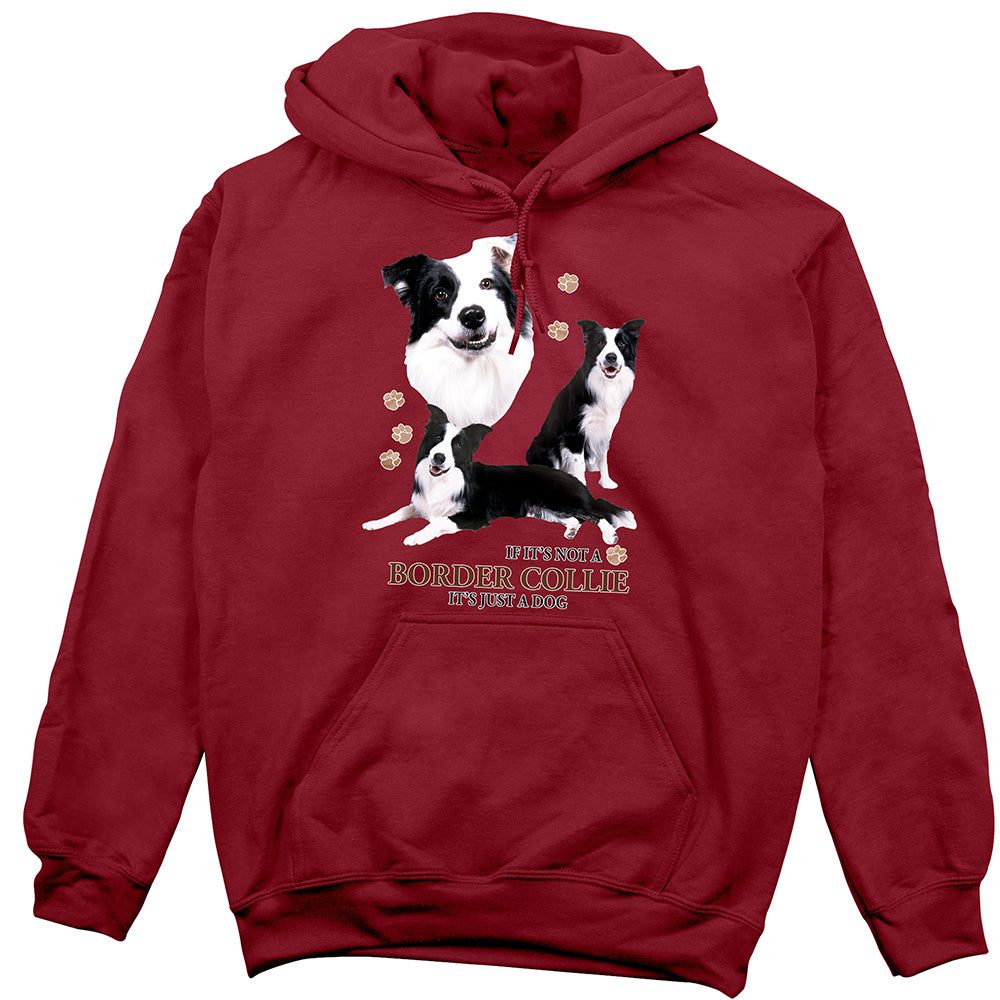Border Collie Hoodie, Not Just a Dog
