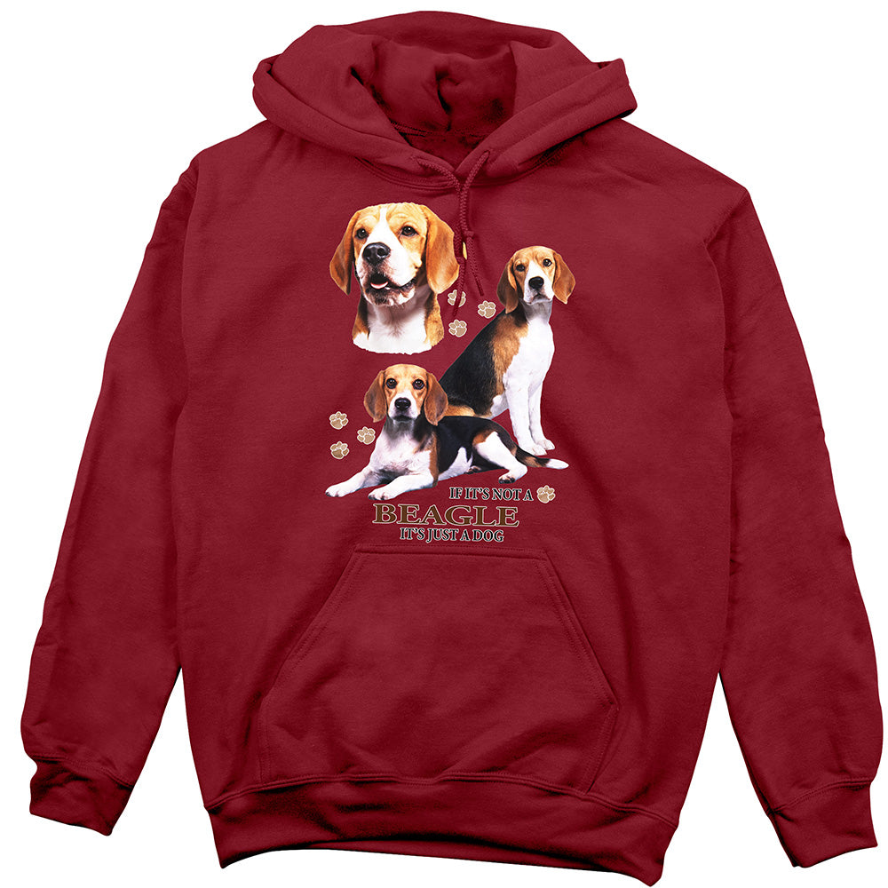 Beagle Hoodie, Not Just a Dog