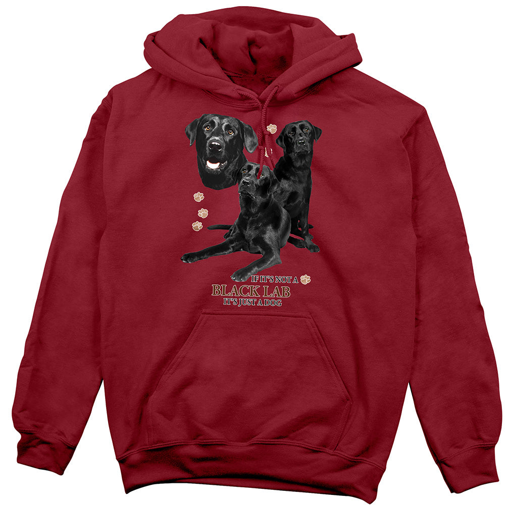 Black Lab Hoodie, Not Just a Dog