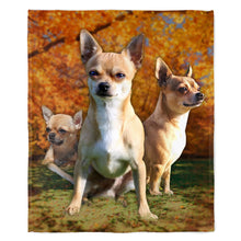 Load image into Gallery viewer, Chihuahua 50&quot; x 60&quot; Fleece Blanket
