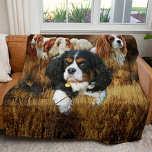 Load image into Gallery viewer, King Charles Spaniel 50&quot; x 60&quot; Fleece Blanket

