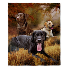 Load image into Gallery viewer, Labrador Retriever 50&quot; x 60&quot; Fleece Blanket
