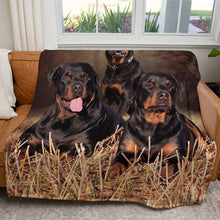 Load image into Gallery viewer, Rottweiler 50&quot; x 60&quot; Fleece Blanket
