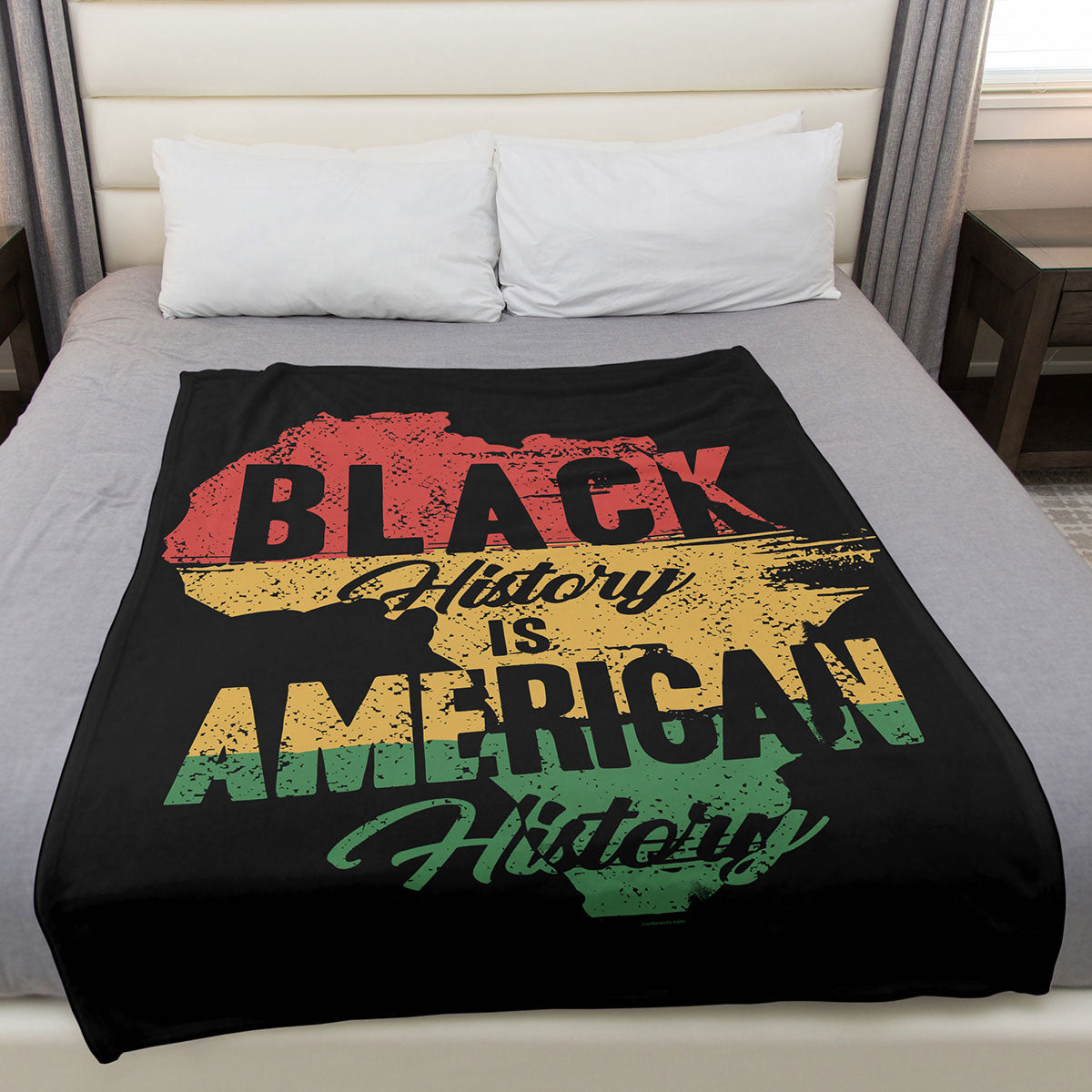 Black History is American History 50