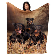 Load image into Gallery viewer, 50&quot; x 60&quot; Rottweiler Plush Minky Blanket
