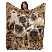 Load image into Gallery viewer, 50&quot; x 60&quot; Pug Plush Minky Blanket
