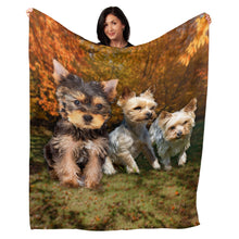 Load image into Gallery viewer, 50&quot; x 60&quot; Yorkie Plush Minky Blanket

