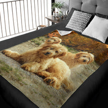 Load image into Gallery viewer, 50&quot; x 60&quot; Golden Doodle Plush Minky Blanket

