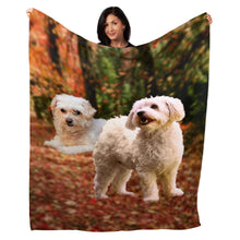 Load image into Gallery viewer, 50&quot; x 60&quot; Bichon Frise Plush Minky Blanket
