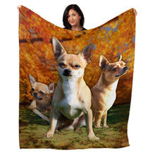 Load image into Gallery viewer, 50&quot; x 60&quot; Chihuahua Plush Minky Blanket
