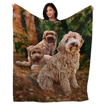 Load image into Gallery viewer, 50&quot; x 60&quot; Labradoodle Plush Minky Blanket
